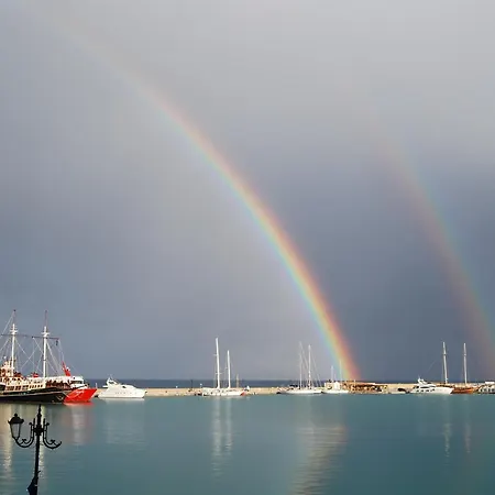 ホテル ダリ ザキントス